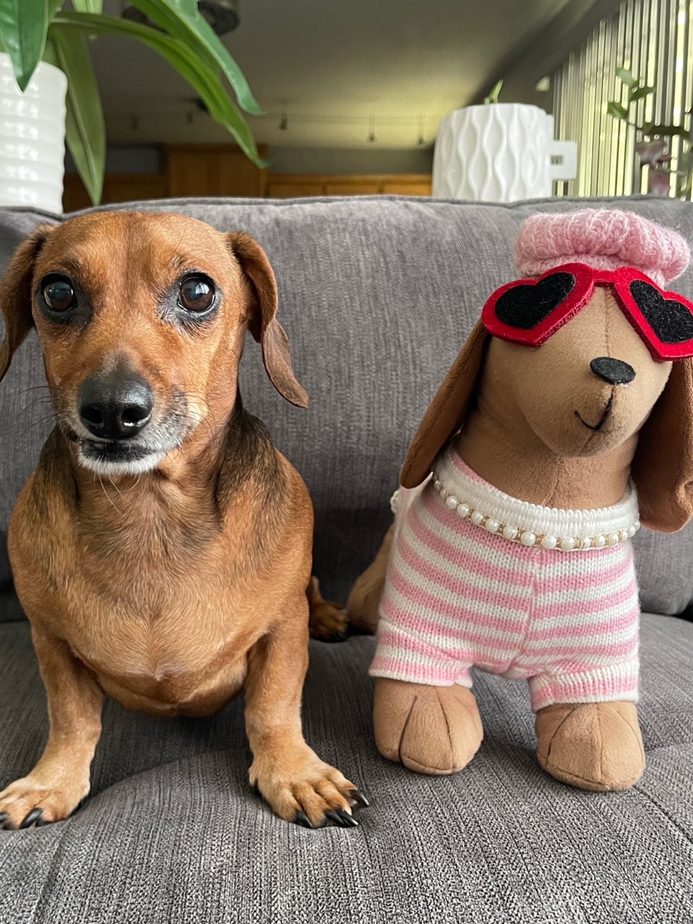 Dachshund Doxie Standing Dog Pillow